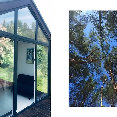 Forest Dom Nad Morzem Do Wynajecia Feriehus *